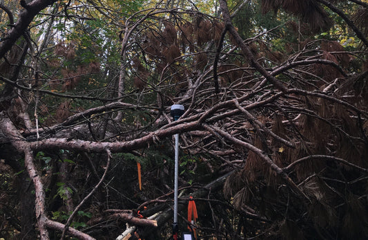 Emlid Reach RS2 Under Canopy