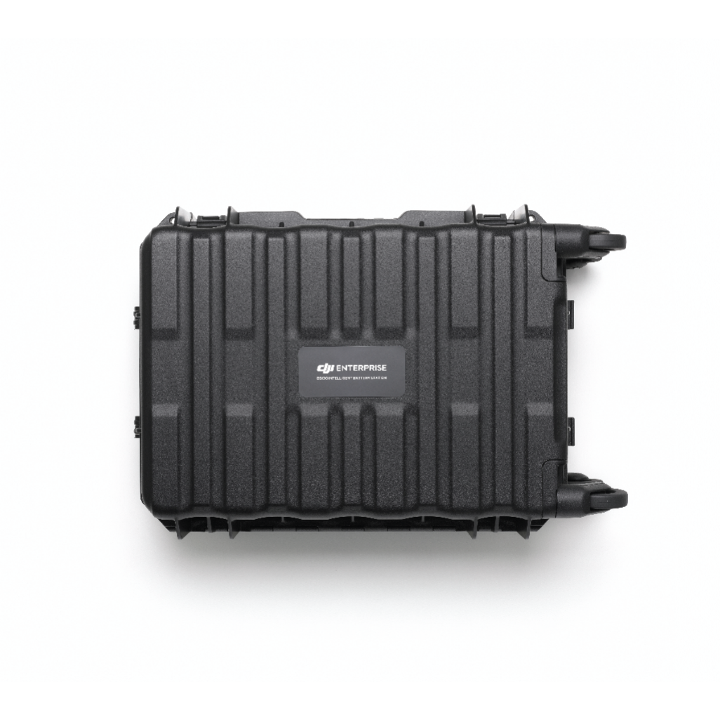 BS100 Intelligent Battery Station