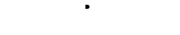 E38 Survey Solutions logo