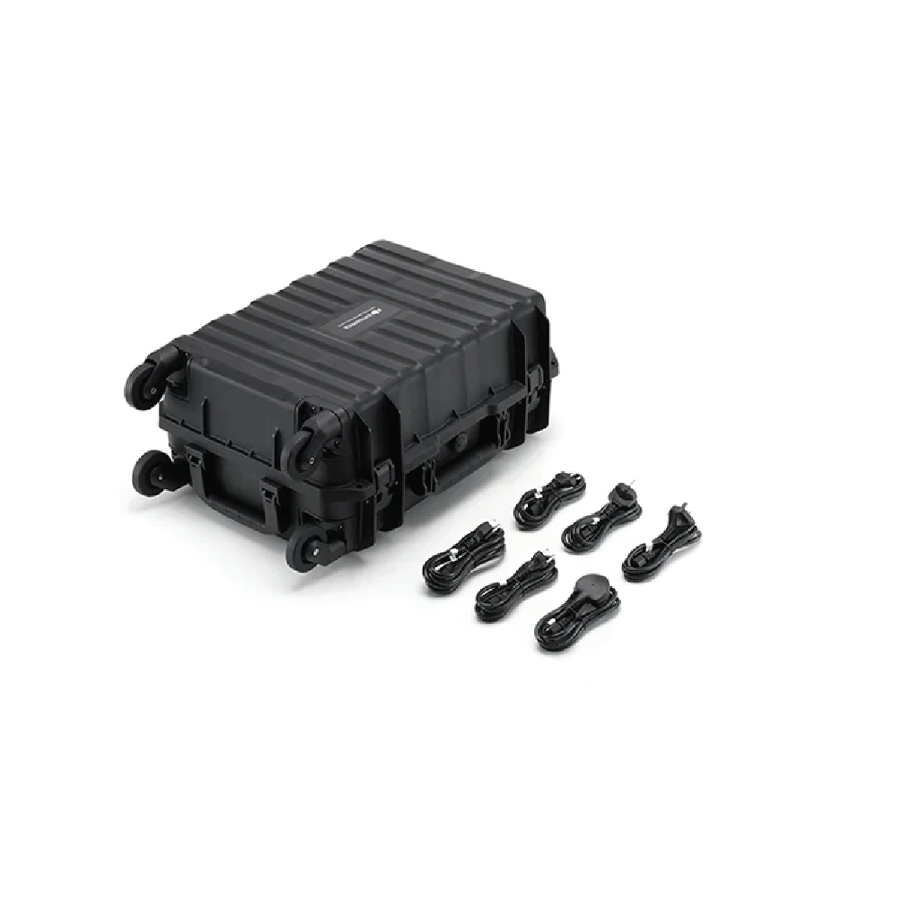 BS100 Intelligent Battery Station